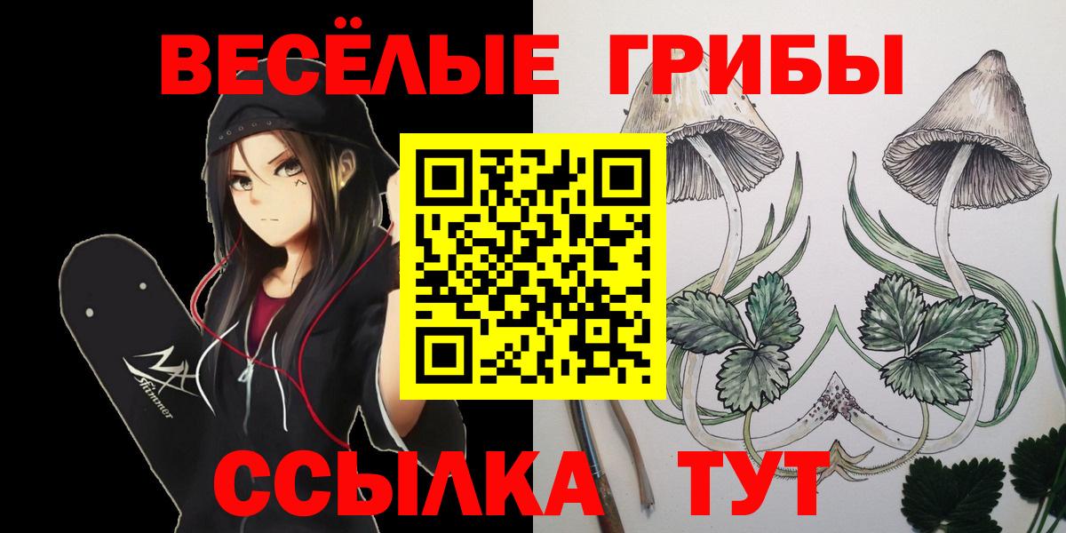 Галлюциногенные грибы GOLDEN TEACHER  Вход с VPN  Алушта 